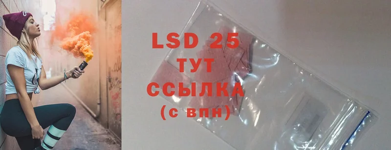 где купить наркоту  Зуевка  LSD-25 экстази ecstasy 